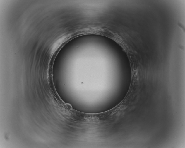 X0000101680340200807171417