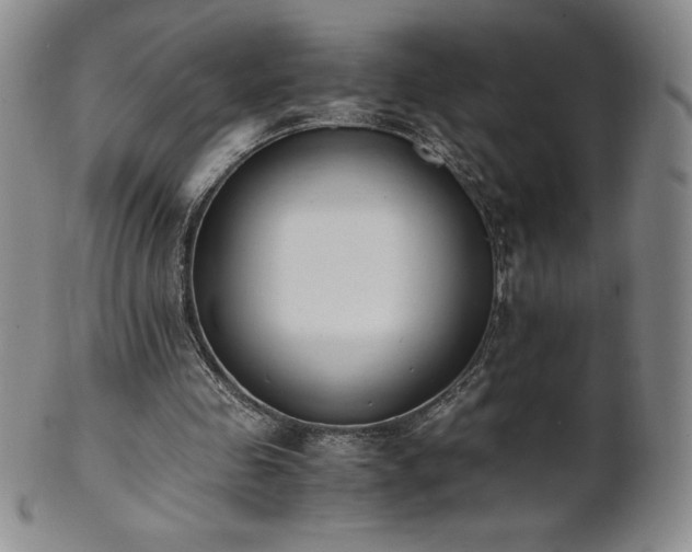 X0000101680341200807171417