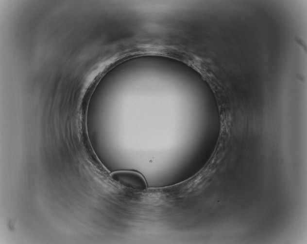 X0000101680342200807171417