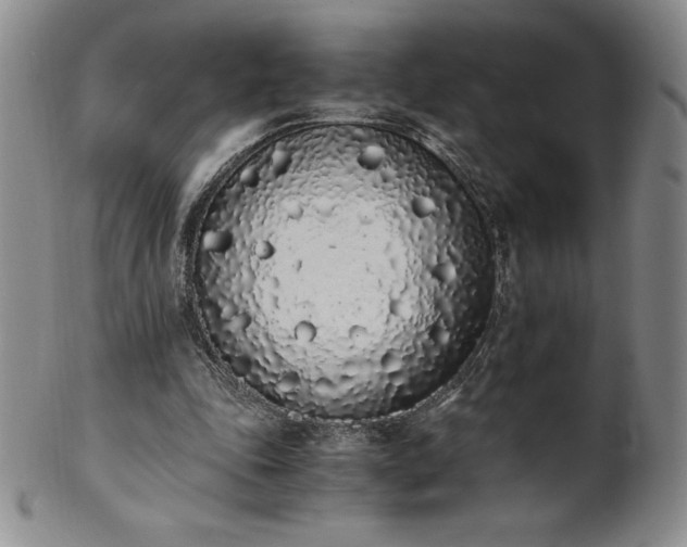 X0000101680343200807171417