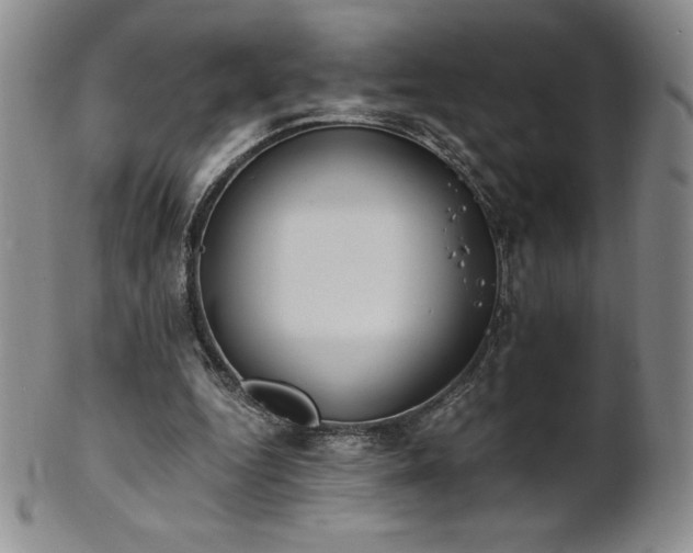 X0000101680344200807171417