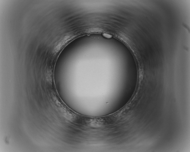 X0000101680345200807171417