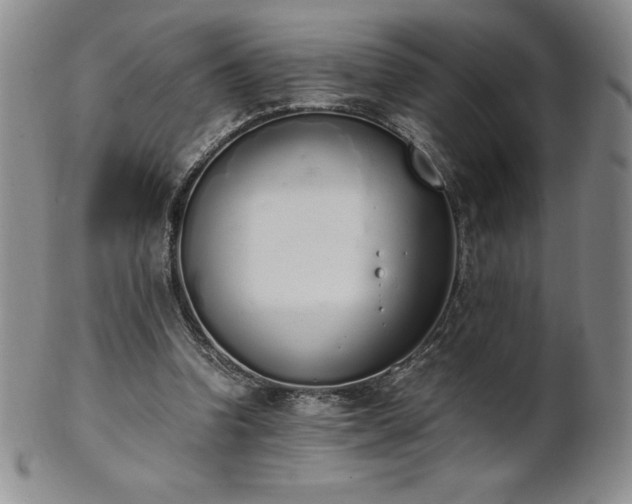 X0000101680346200807171417