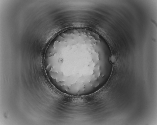 X0000101680347200807171417