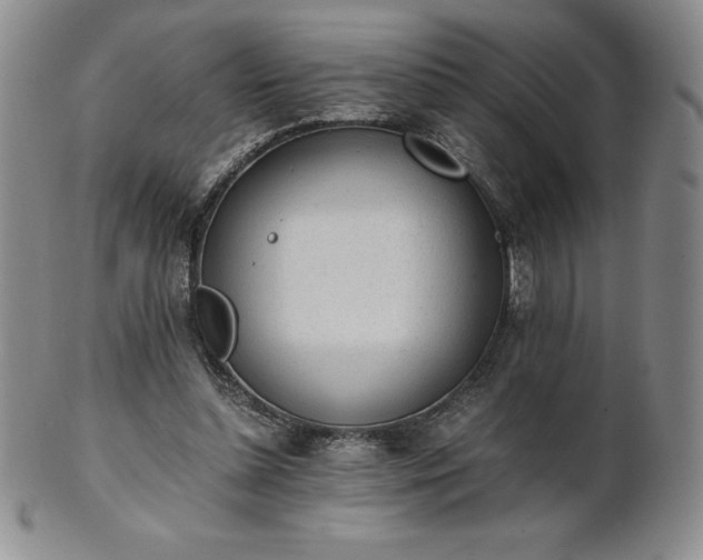 X0000101680348200807171417