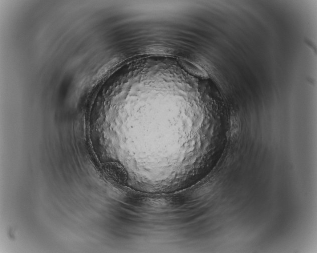 X0000101680349200807171417