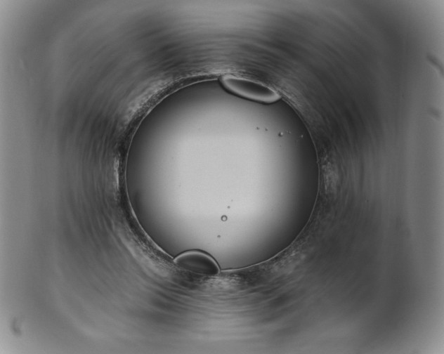 X0000101680350200807171417