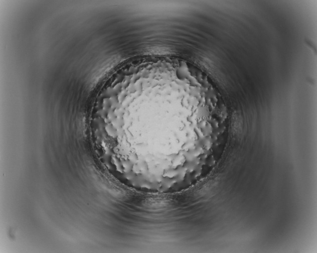 X0000101680351200807171417