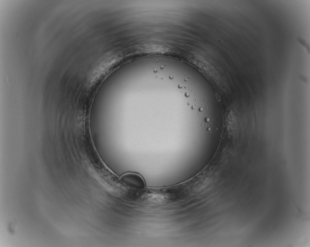 X0000101680352200807171417