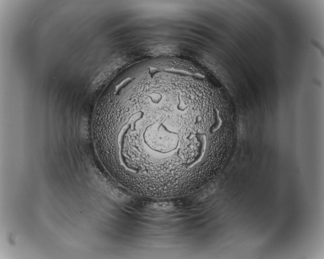 X0000101680353200807171417