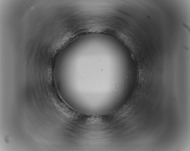 X0000101680354200807171417