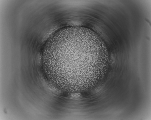 X0000101680355200807171417