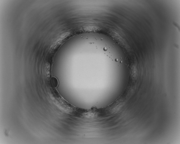 X0000101680356200807171417