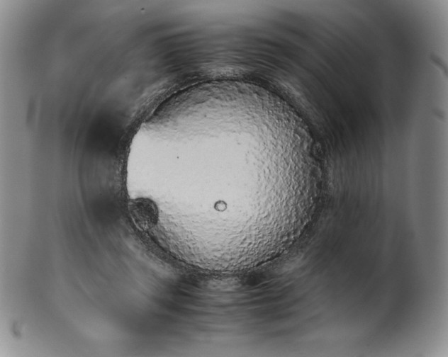 X0000101680357200807171417