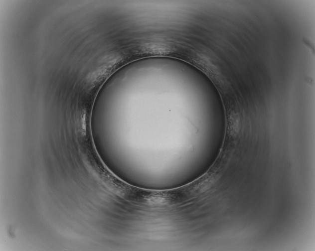 X0000101680358200807171417