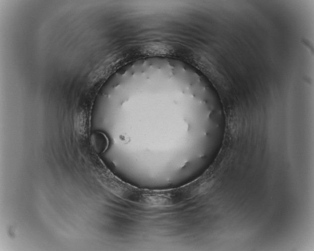 X0000101680359200807171417