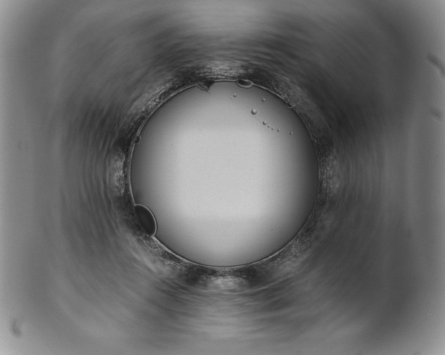 X0000101680360200807171417