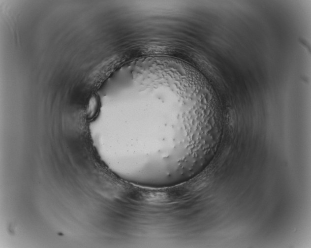 X0000101680361200807171417