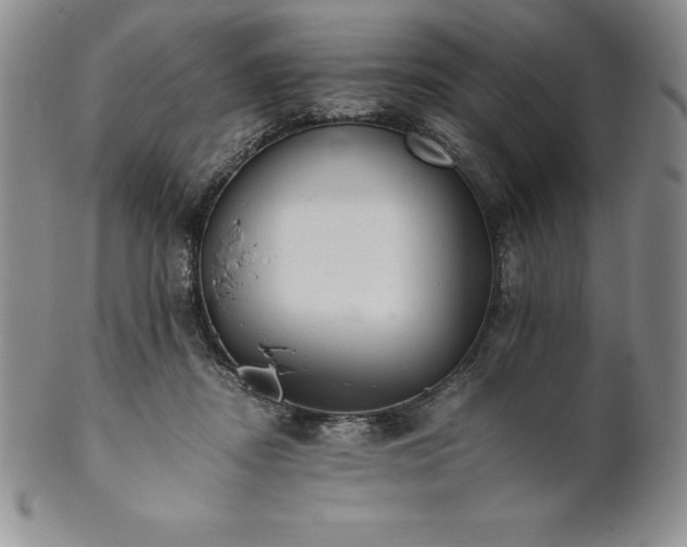 X0000101680362200807171417