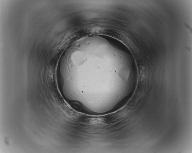 X0000101680363200807171417