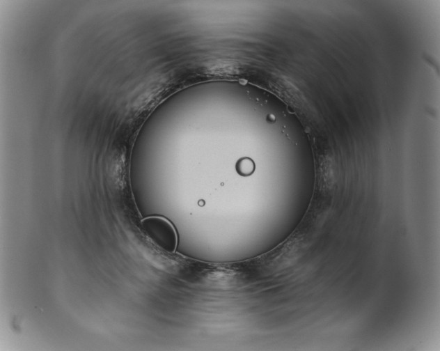 X0000101680364200807171417