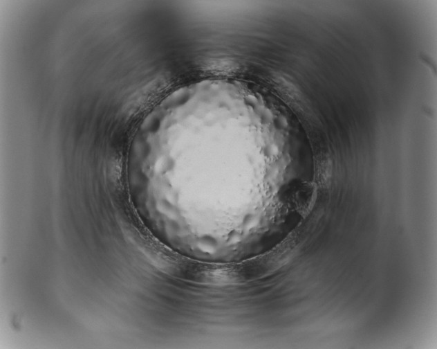 X0000101680365200807171417