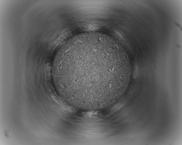 X0000101680366200807171417