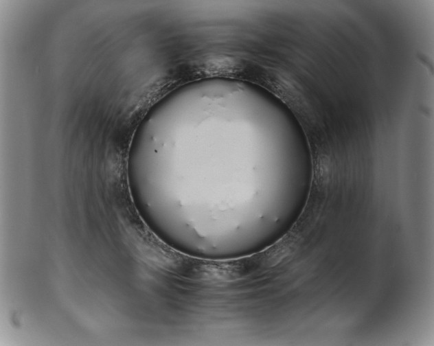 X0000101680367200807171417