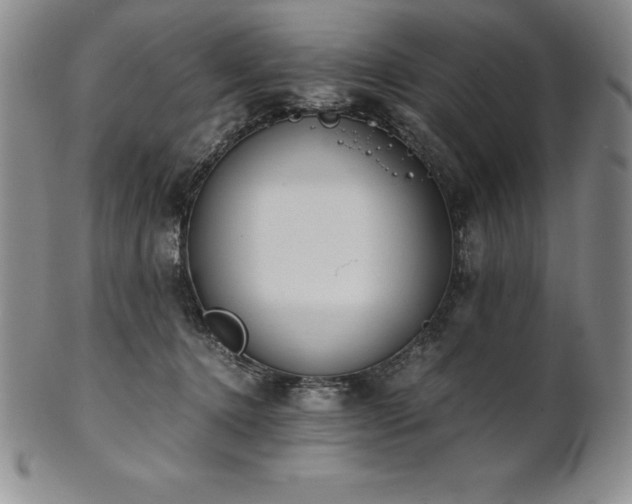 X0000101680368200807171417