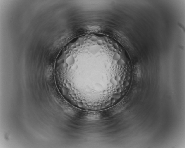 X0000101680369200807171417