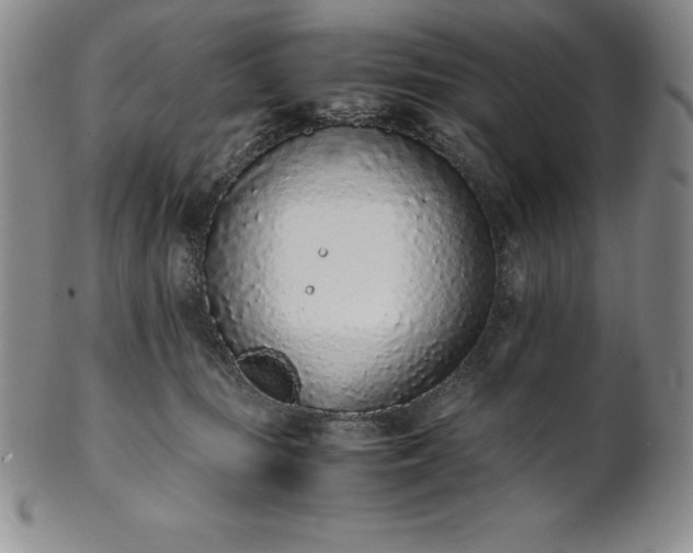 X0000101680371200807171417