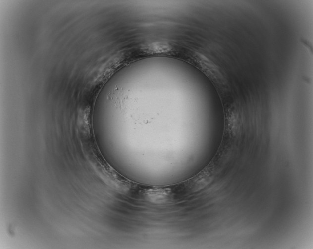 X0000101680373200807171417