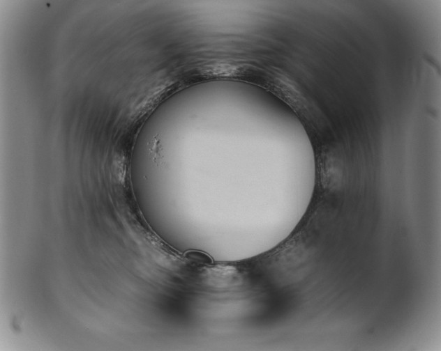 X0000101680374200807171417