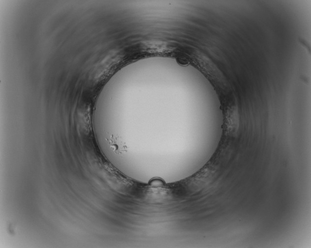 X0000101680376200807171418