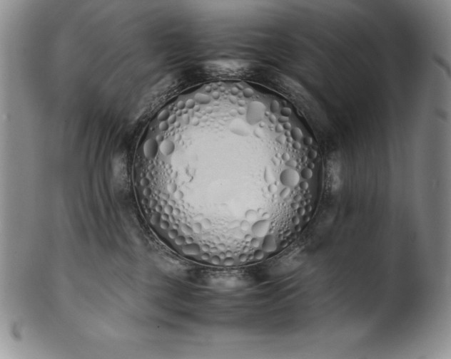 X0000101680377200807171418