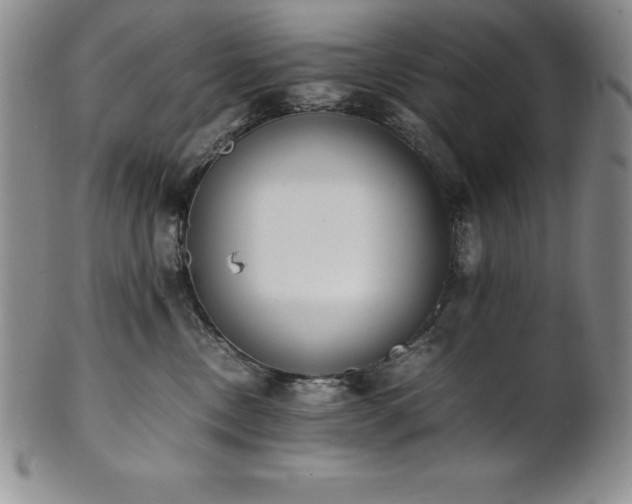 X0000101680378200807171418