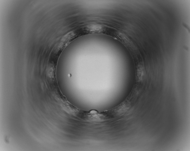 X0000101680379200807171418