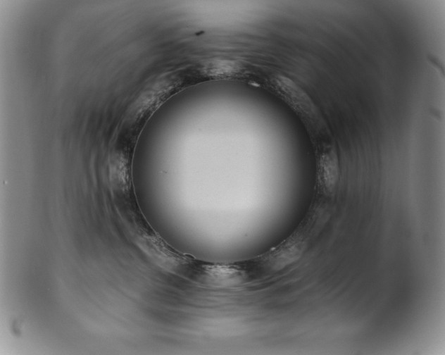 X0000101680380200807171418