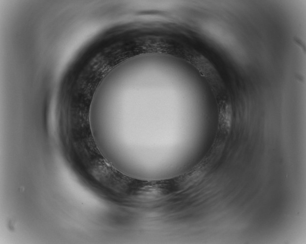 X0000101680381200807171418