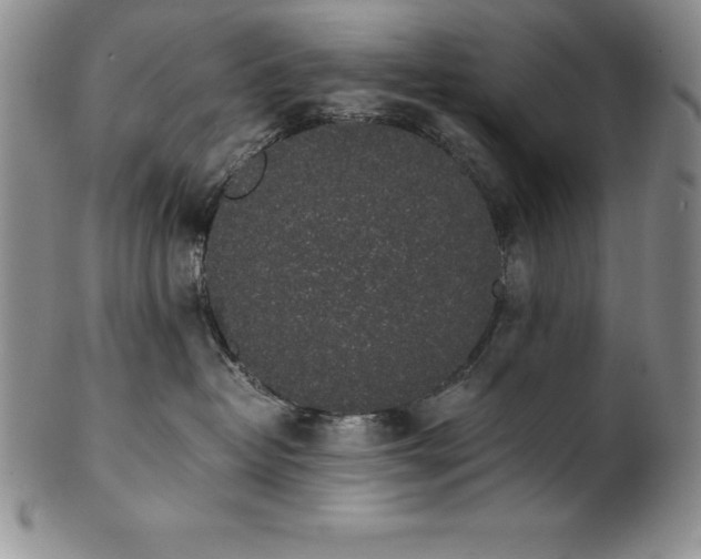 X0000101680382200807171418