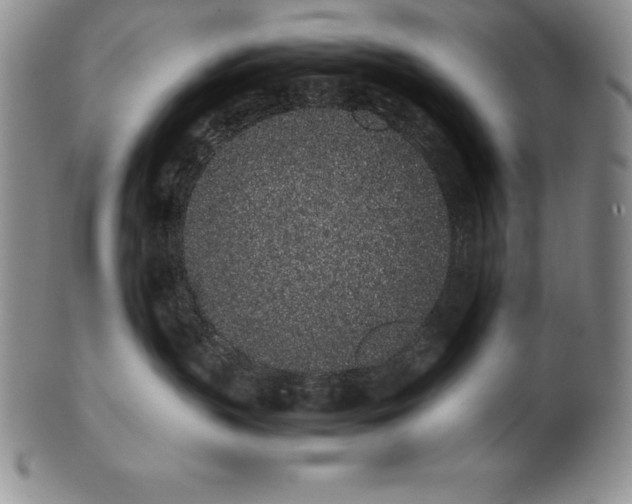 X0000101680383200807171418