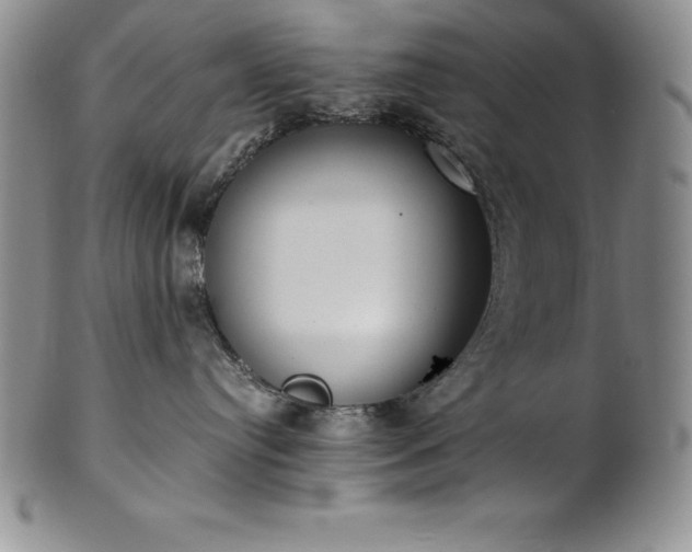 X0000101680384200807171418