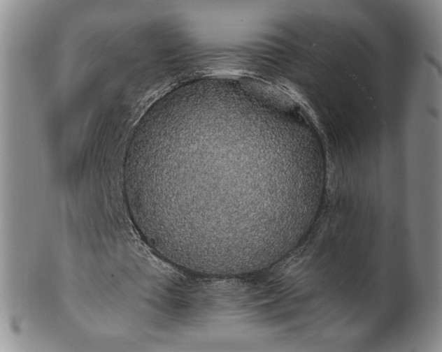 X0000101680385200807171417