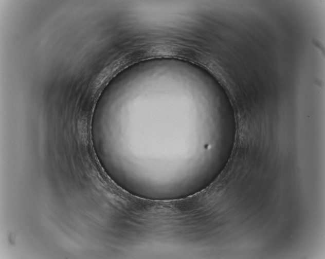 X0000101680386200807171417