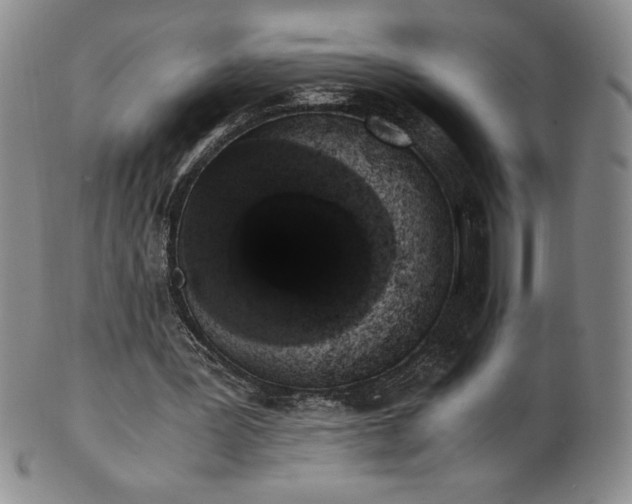 X0000101680387200807171417