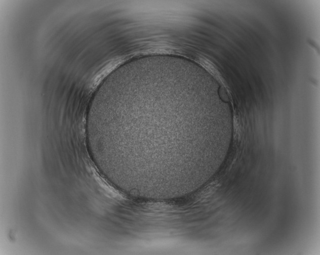 X0000101680389200807171417