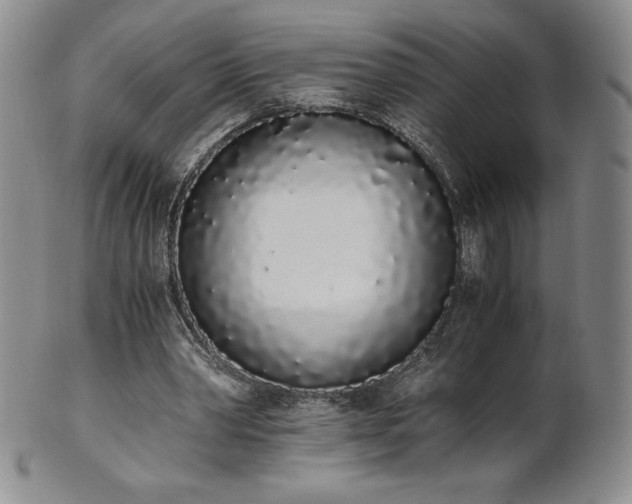 X0000101680390200807171417