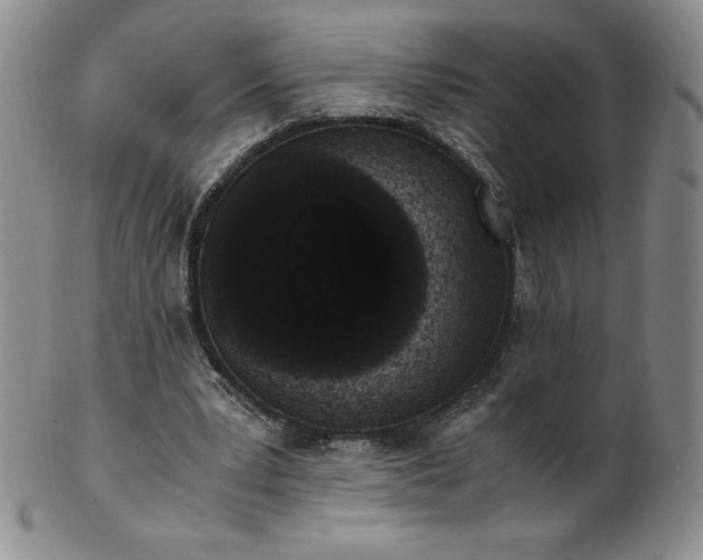 X0000101680391200807171417