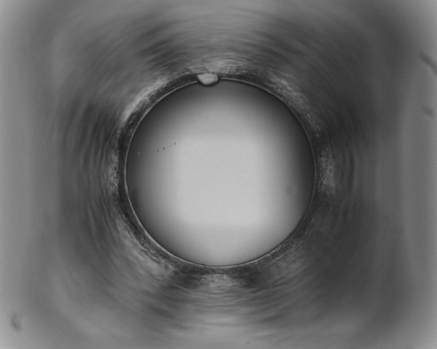 X0000101680392200807171417