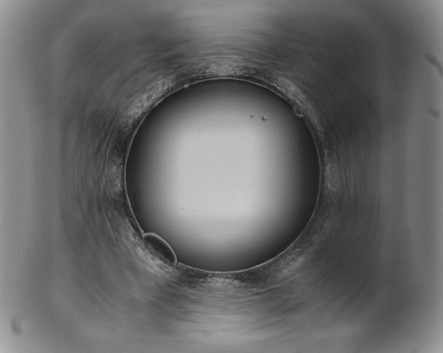 X0000101680393200807171417